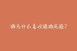 猫为什么喜欢被拍屁股?-动物百科