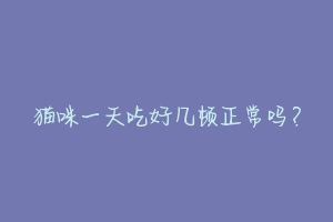 猫咪一天吃好几顿正常吗?-动物百科