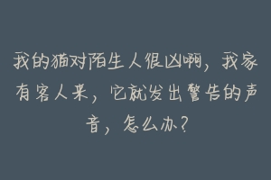我的猫对陌生人很凶啊,我家有客人来,它就发出警告的声音,怎么办?-动物百科
