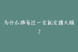 为什么猫每过一会就会蹭大腿?-动物百科