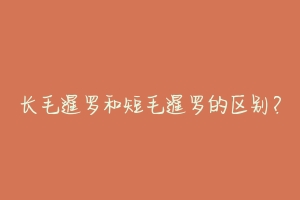 长毛暹罗和短毛暹罗的区别?-动物百科