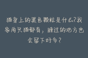 猫身上的黑色颗粒是什么?我家两只猫都有,睡过的地方也会留下好多?-动物百科