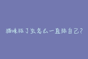猫咪驱了虫怎么一直舔自己?-动物百科