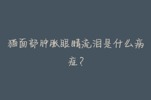 猫面部肿胀眼睛流泪是什么病症?-动物百科