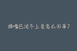 猫嘴巴闭不上是怎么回事?-动物百科