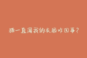 猫一直闻我的衣服咋回事？-动物百科