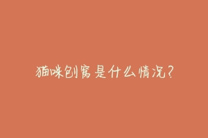 猫咪刨窝是什么情况？-动物百科