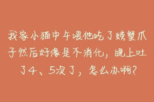 我家小猫中午喂他吃了螃蟹爪子然后好像是不消化,晚上吐了4、5次了,怎么办啊?-动物百科
