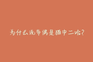 为什么说布偶是猫中二哈?-动物百科