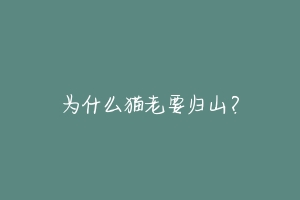 为什么猫老要归山?-动物百科