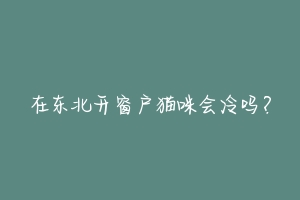 在东北开窗户猫咪会冷吗?-动物百科