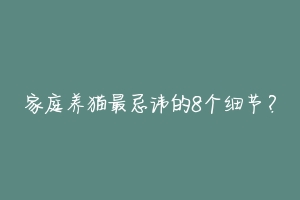 家庭养猫最忌讳的8个细节?-动物百科