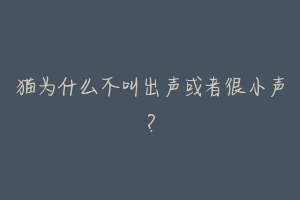 猫为什么不叫出声或者很小声?-动物百科
