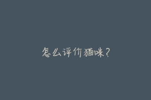 怎么评价猫咪?-动物百科