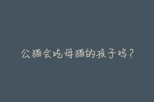 公猫会吃母猫的孩子吗?-动物百科