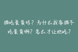 猫吃蛋黄吗？为什么我家猫不吃蛋黄啊？怎么才让她吃？-动物百科