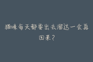 猫咪每天都要出去溜达一会再回来?-动物百科