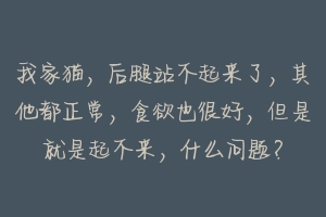 我家猫,后腿站不起来了,其他都正常,食欲也很好,但是就是起不来,什么问题?-动物百科