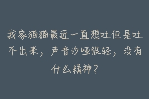 我家猫猫最近一直想吐但是吐不出来,声音沙哑很轻,没有什么精神?-动物百科