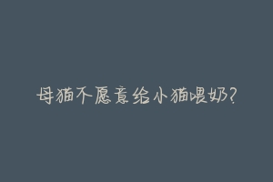 母猫不愿意给小猫喂奶?-动物百科