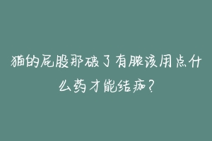 猫的屁股那破了有脓该用点什么药才能结痂?-动物百科