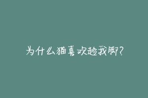 为什么猫喜欢趁我脚?-动物百科