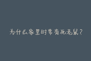 为什么家里时常有死老鼠？-动物百科