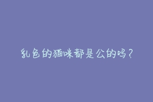 乳色的猫咪都是公的吗?-动物百科