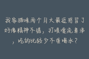 我家猫咪两个月大最近感冒了好像精神不错,打喷嚏流鼻涕,吃的比较少不爱喝水?-动物百科