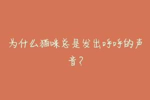 为什么猫咪总是发出呼呼的声音?-动物百科