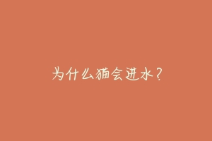 为什么猫会进水?-动物百科