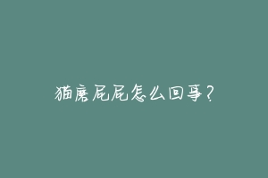 猫磨屁屁怎么回事?-动物百科