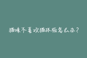 猫咪不喜欢猫抓板怎么办？-动物百科
