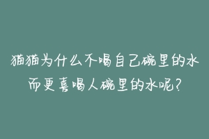 猫猫为什么不喝自己碗里的水而更喜喝人碗里的水呢？-动物百科
