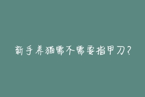 新手养猫需不需要指甲刀?-动物百科