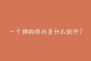 一个猫的特效是什么软件?-动物百科