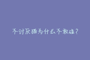 不讨厌猫为什么不敢碰?-动物百科