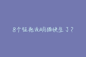 8个征兆说明猫快生了?-动物百科