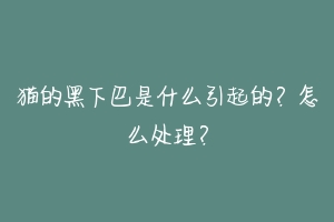 猫的黑下巴是什么引起的?怎么处理?-动物百科