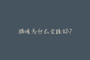 猫咪为什么会踩奶?-动物百科
