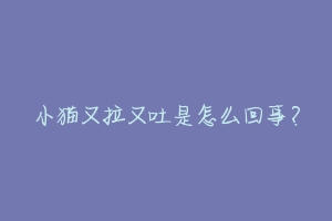 小猫又拉又吐是怎么回事?-动物百科