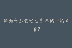 猫为什么会发出类似鹅叫的声音?-动物百科