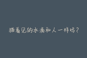 猫看见的水滴和人一样吗?-动物百科