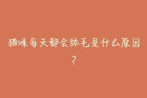 猫咪每天都会舔毛是什么原因?-动物百科