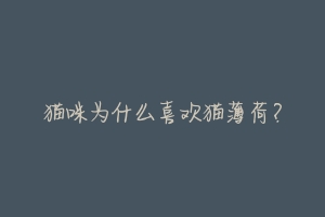 猫咪为什么喜欢猫薄荷?-动物百科