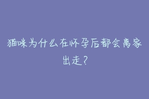 猫咪为什么在怀孕后都会离家出走？-动物百科