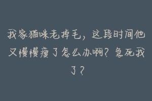 我家猫咪老掉毛，这段时间他又慢慢瘦了怎么办啊？急死我了？-动物百科