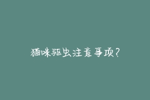 猫咪驱虫注意事项？-动物百科