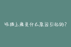 吸猫上瘾是什么原因引起的？-动物百科