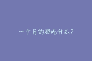 一个月的猫吃什么？-动物百科